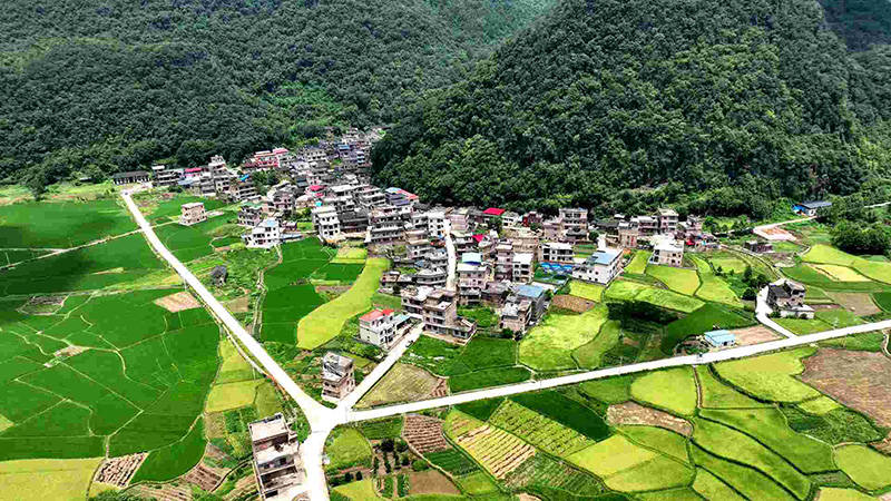 🌸【澳门一肖一码一中一肖】🌸,阳山：“税力量”助燃暑期旅游热