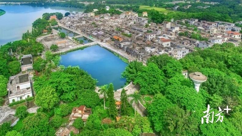 🌸【澳门一肖一码必中一肖一码】🌸,股票行情快报：桂林旅游（000978）8月23日主力资金净卖出110.05万元