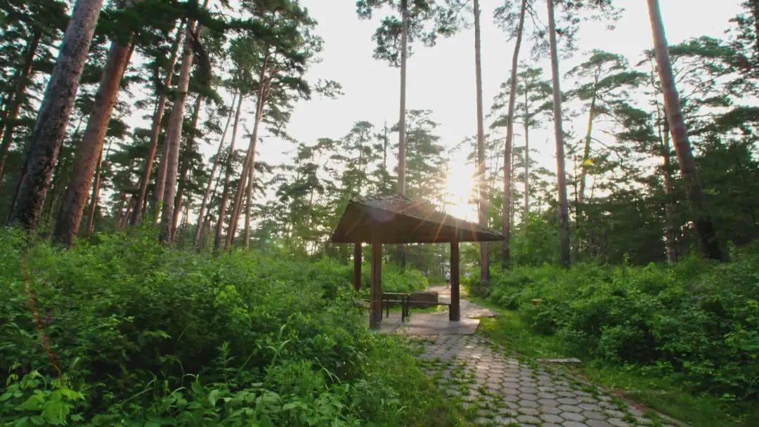 🍁澳门正版资料大全免费大全鬼谷子🍁丨2024年西藏山南市雅砻文化旅游节招商引资推介会共协议资金达45.59亿元