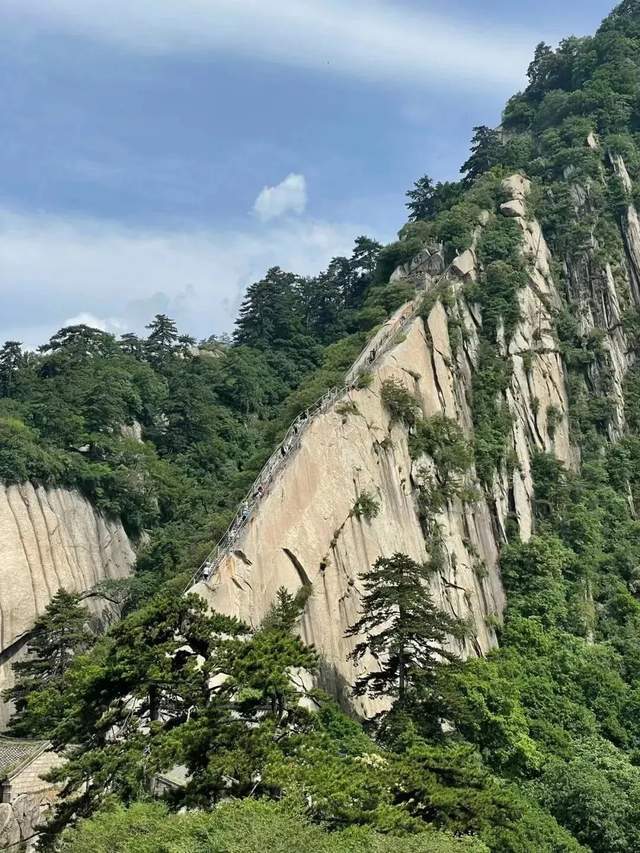 🌸【2024澳门资料正版大全一肖中特】🌸,开州区关面乡大力发展乡村旅游绘就村美民富新画卷