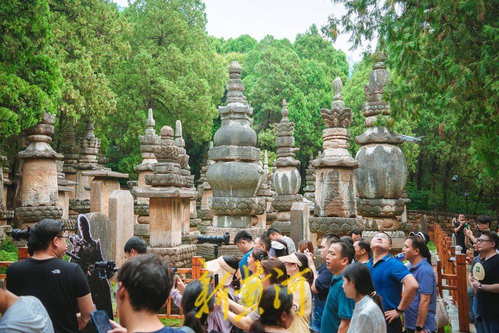 🍁管家婆特一肖必出特一肖🍁丨上海：加大对入境旅游扶持力度，鼓励迭代旅游产品