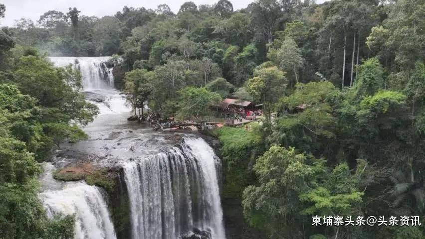 🌸【新澳精选资料免费提供】🌸,怎么也没想到，出去旅游还参加了爸爸“婚礼”，2个兄妹哭得伤心