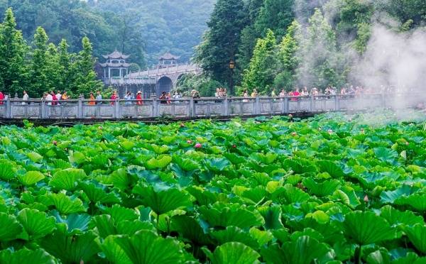 🍁新澳新澳门正版资料🍁丨威宁消防联合县文体广电旅游局深入辖区旅游景区开展消防宣传活动