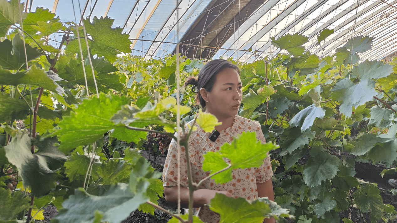 澳门赛马会资料最准一码丨【西街观察】旅游热要警惕黄牛变身技术牛