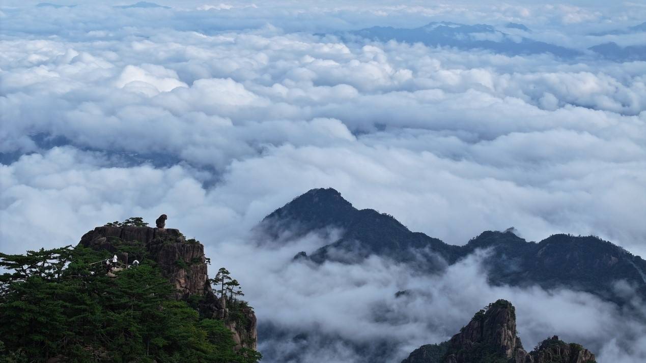 ✅新澳门一码一肖一特一中✅丨旅行社不能强迫游客消费！9月起，广州推广使用新版旅游合同