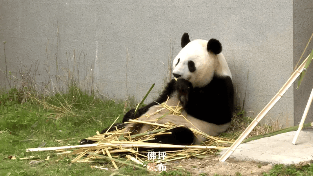 澳门王中王一肖一中一码丨维护旅游市场秩序 提升旅游服务质量｜铜仁市开展旅游旺季旅游市场秩序检查