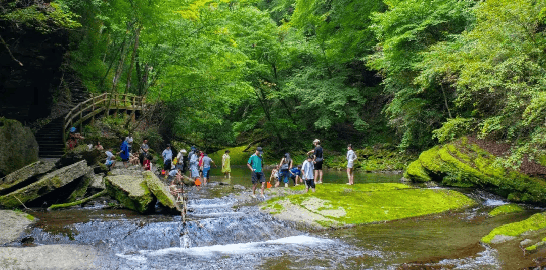 🍁管家婆一肖一码中100%命中🍁丨今日18时起 海南全省旅游客运车辆恢复运营