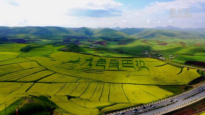 🍁2024澳门天天六开彩结果🍁丨高昌区多部门联合执法 全力护航旅游季