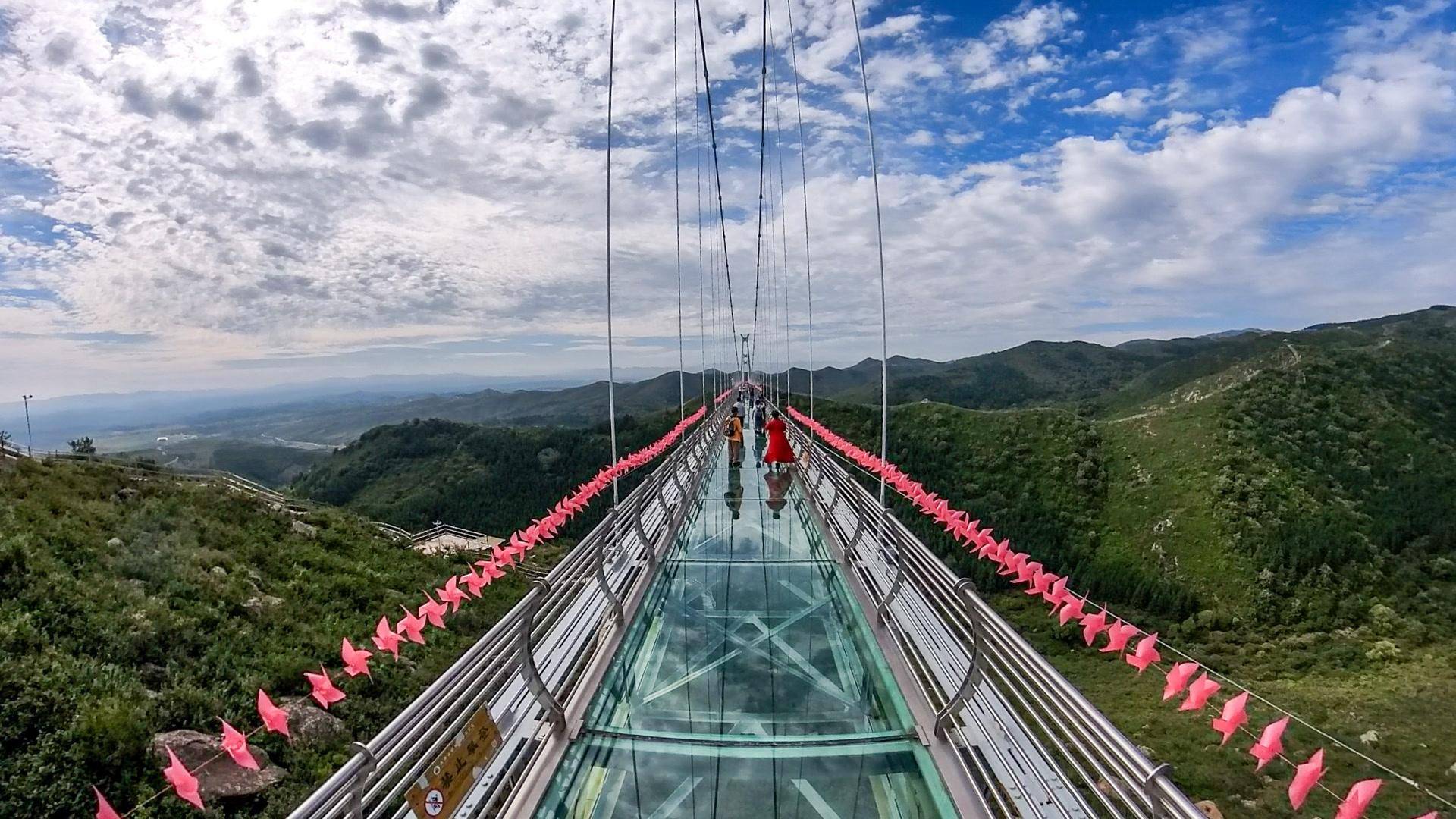 🍁澳门一码一肖一特一中今晚🍁丨山西：张晓平被查！曾因违规公款国内旅游被党内警告…