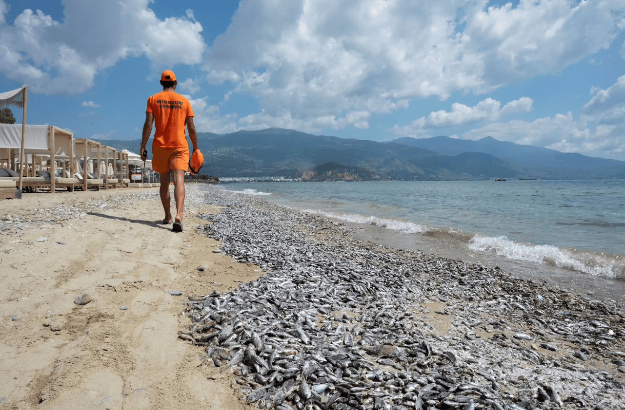 ✅澳门王中王100%的资料✅丨重庆江北旅游警务为啥做得好？多亏它→