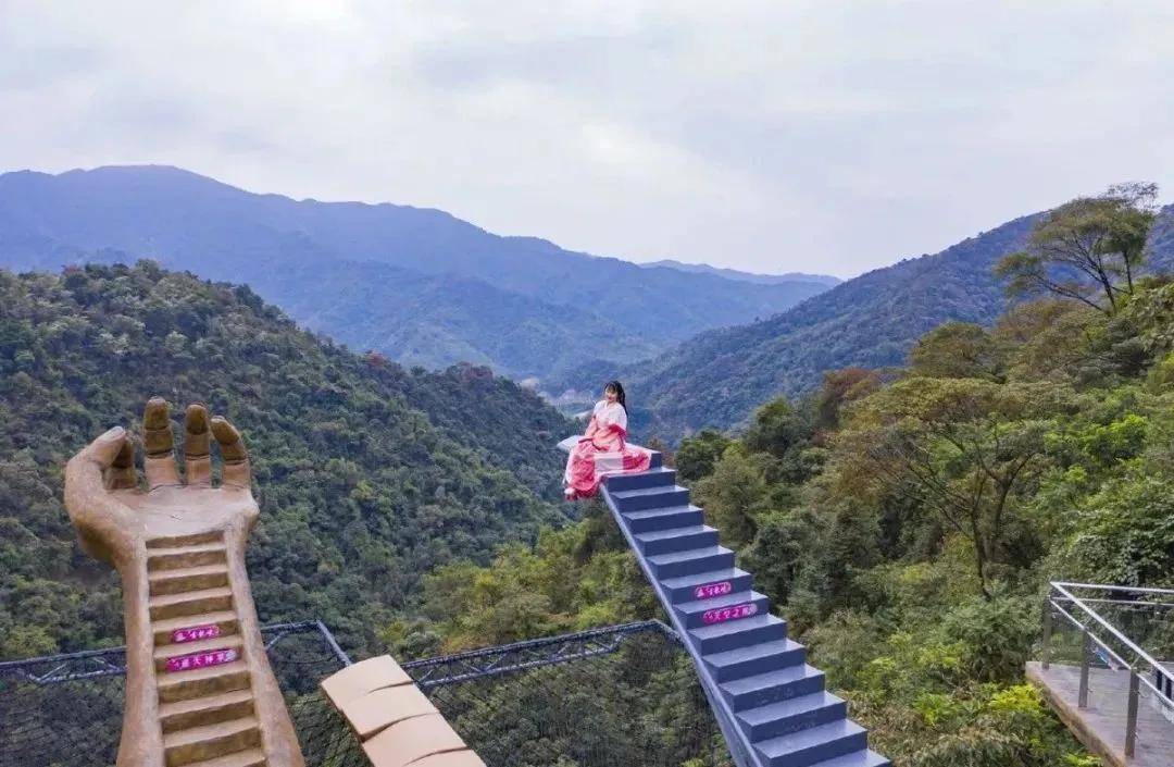 🍁新奥天天免费资料单双🍁丨台媒：金门旅游业者期待迎接陆客  第1张