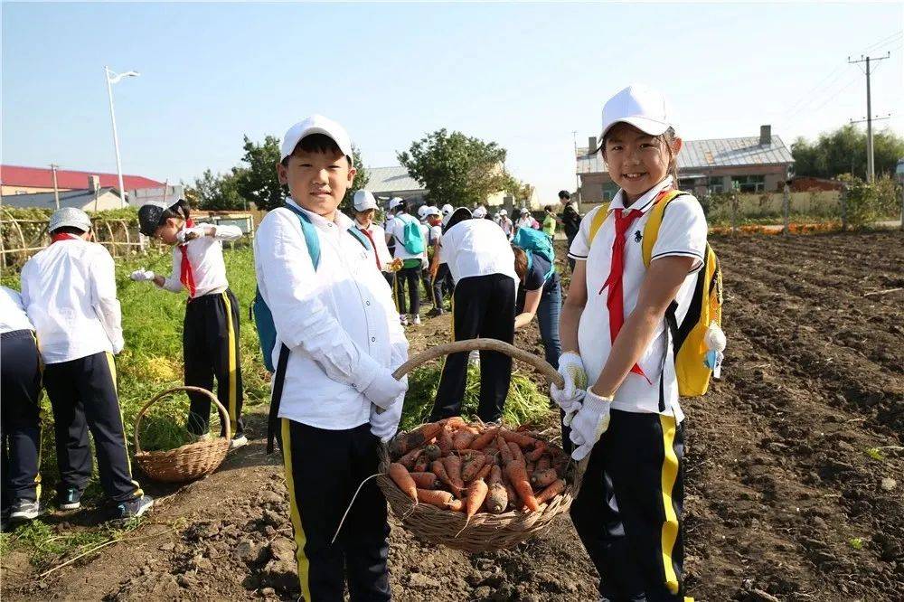 ✅新澳天天开奖资料大全最新54期✅丨2024年海口市青少年网络素养教育主题创意作品征集活动颁奖