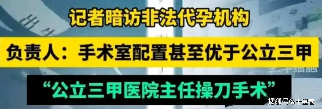 ✅澳门一肖一码精准100王中王✅丨奥运健儿港澳之行，马龙C位成赢家，因一个举动打脸娱乐圈的矫情