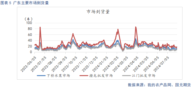 【苹果】冷库好货难寻 早熟高价开秤  第7张