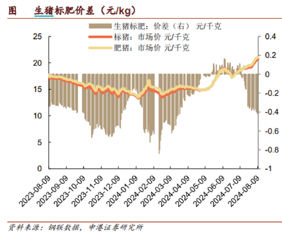 ETF日报：上游算力相关板块经过回调之后，可适当关注通信ETF