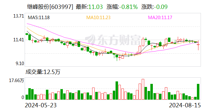 多个战略性新兴业务项目成功量产 继峰股份上半年营收110亿元  第1张