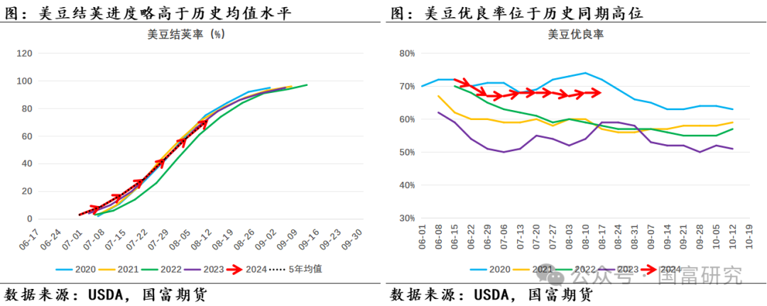 【USDA】8月报告：新作产量超预期，美豆维持偏弱走势  第7张