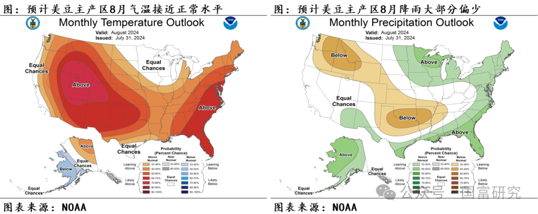 【USDA】8月报告：新作产量超预期，美豆维持偏弱走势  第9张