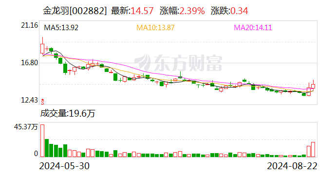 金龙羽：2024年半年度净利润约8359万元 同比下降31.14%