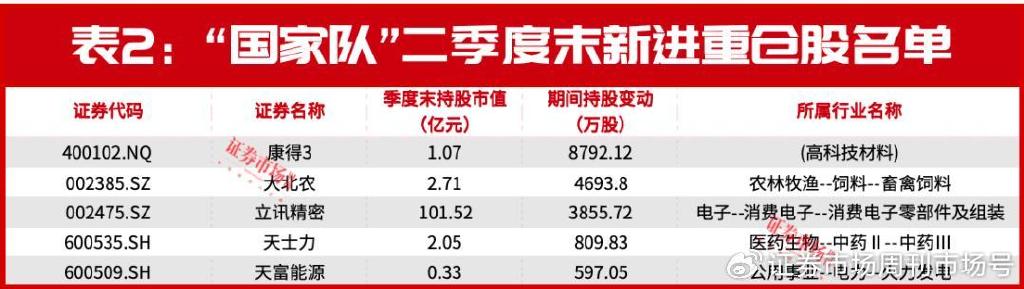 “国家队”又现异动！加仓这只消费电子龙头3800万股