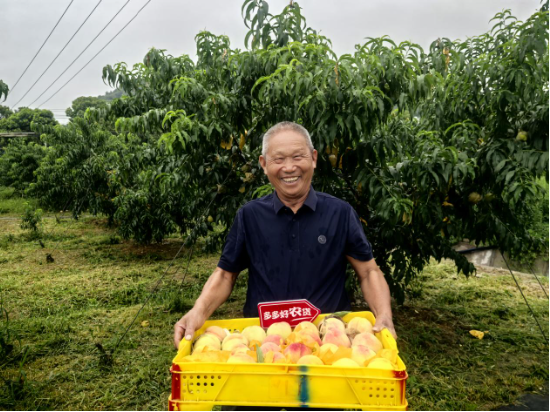 修炼内功以行稳致远，拼多多宣布继续投入百亿资源扶持商家