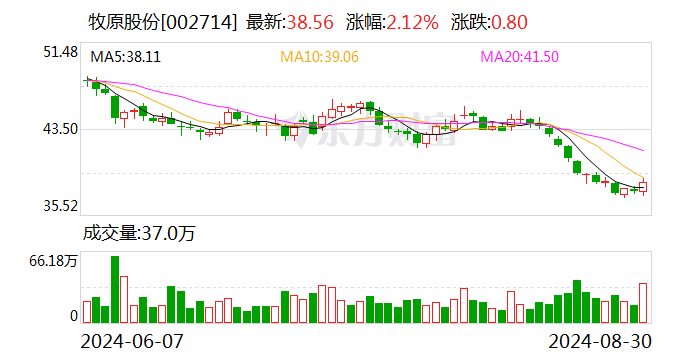 生猪养殖业大面积扭亏 多家龙头企业净利润增幅超100%  第1张