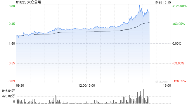 创投概念受资金追捧 大众公用午后放量暴涨114%  第1张