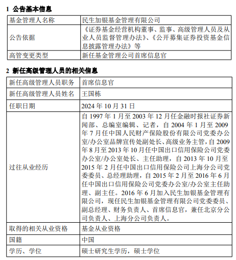 民生加银基金新任王国栋为首席信息官  第1张