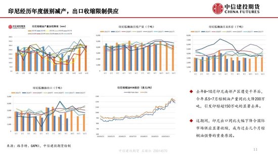 【月度策略】生物燃料前景担忧施压油脂，关注印尼棕榈油卖货情况  第13张